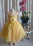 Flower Girl Mary Tulle Dress