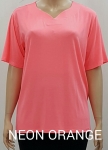 Ladies T Shirt LTS1220